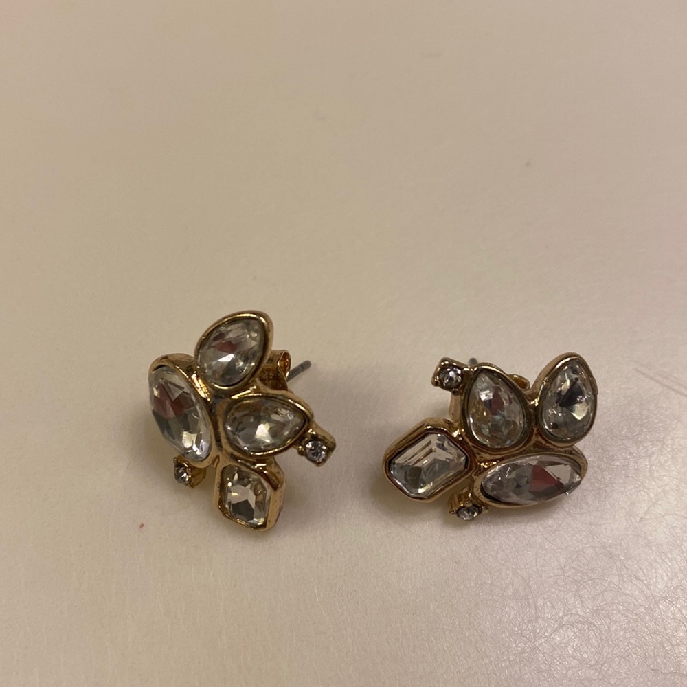 Ann Taylor earrings